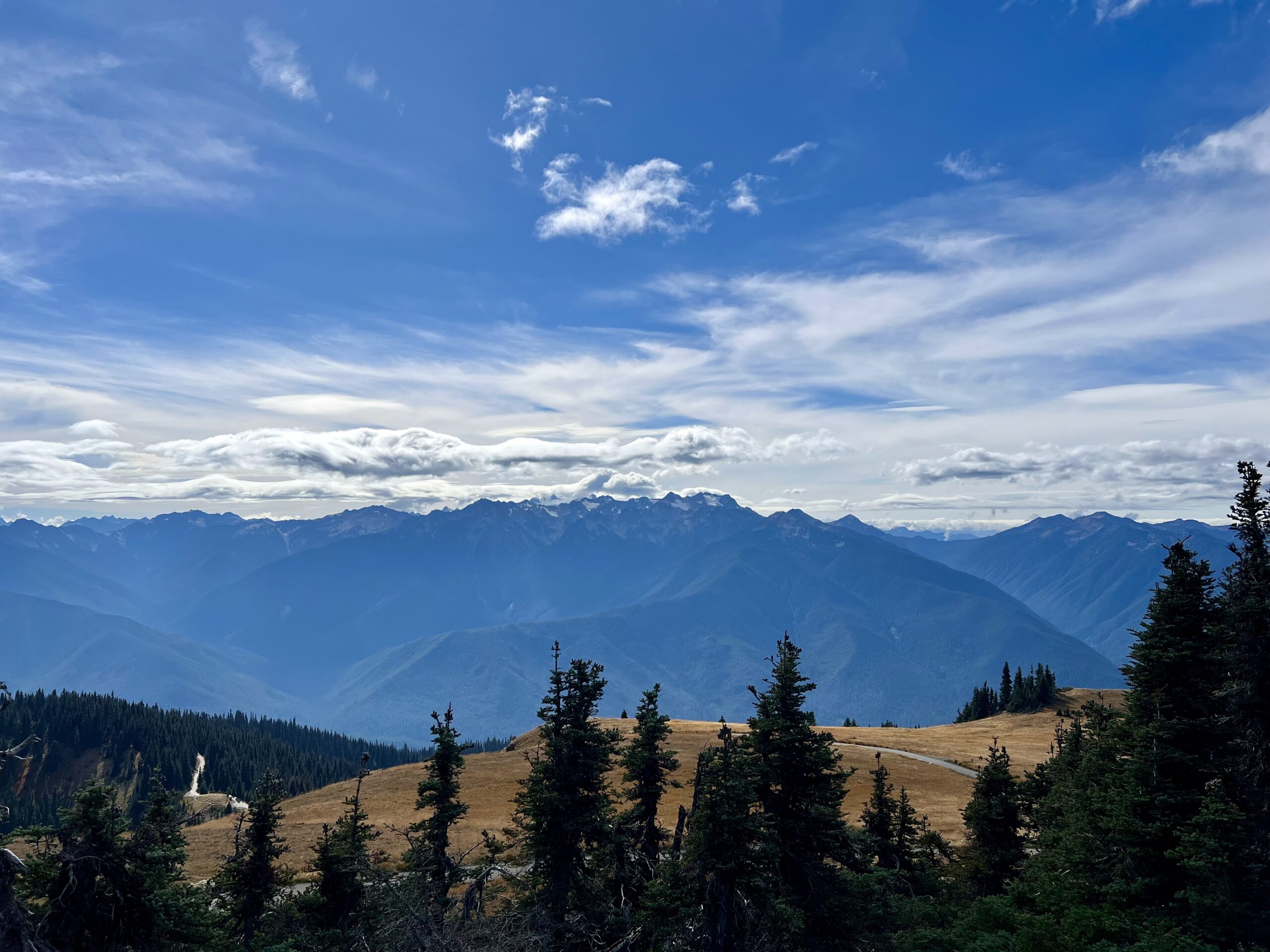 To wrap up our time on the Olympic Peninsula, we hiked Hurricane Ridge in Olympic National Park. We got super lucky with the weather. It was supposed to rain, but it ended up being such a beautiful sunny day. The trail was steep and windy, but the towering coniferous trees and the endless mountain views made it completely worth it!